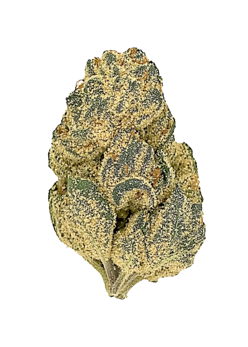 Dual OG 