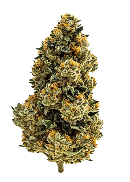 Orange Wedding Cake