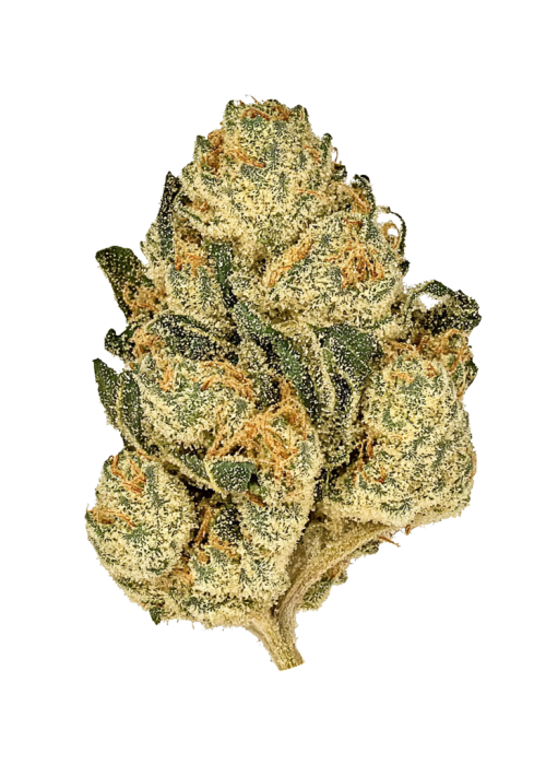 Comfort Creme