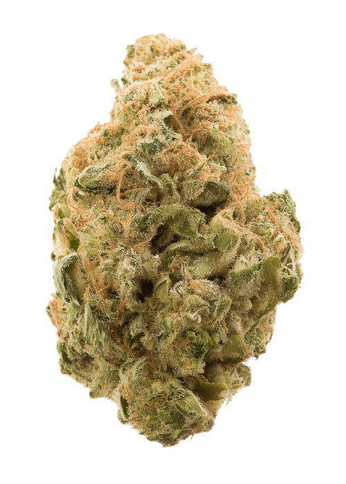 Tiger's Milk