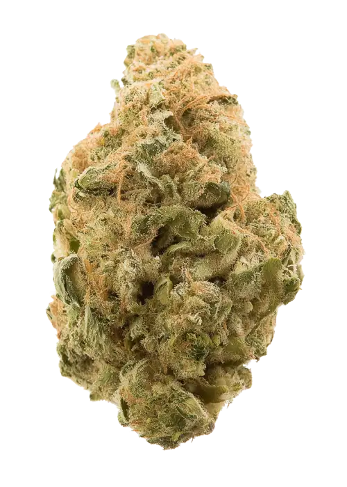 Tiger's Milk