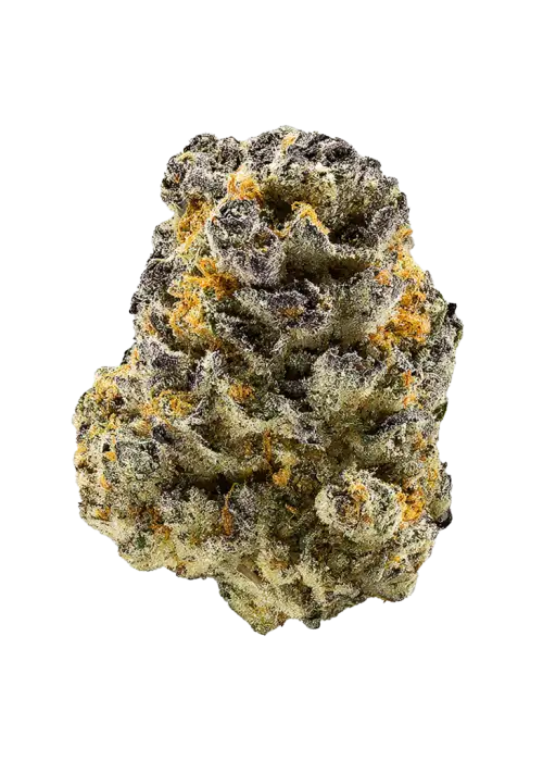 White Chocolate Chip