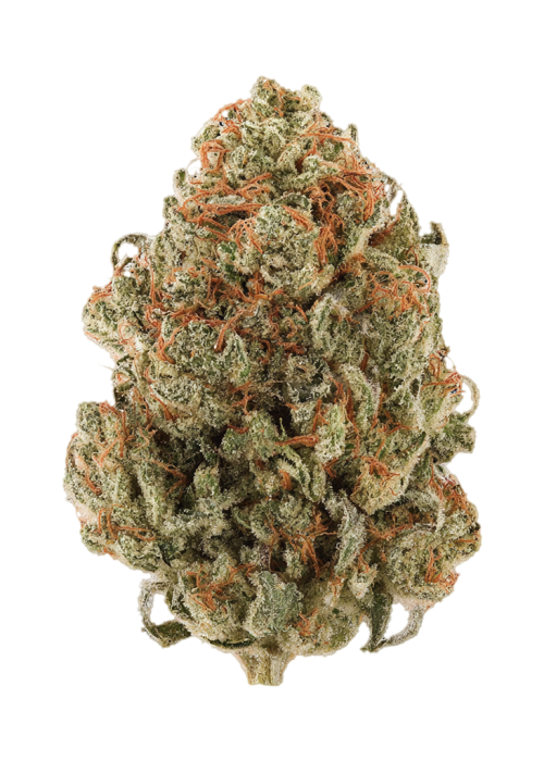 Chiquita Banana