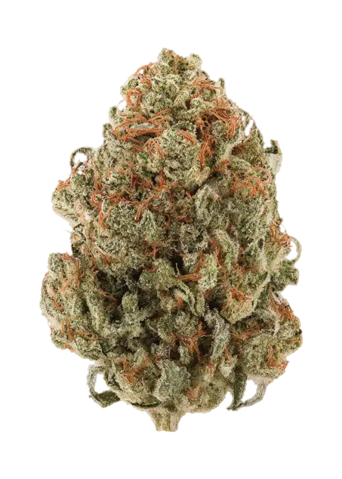 Chiquita Banana