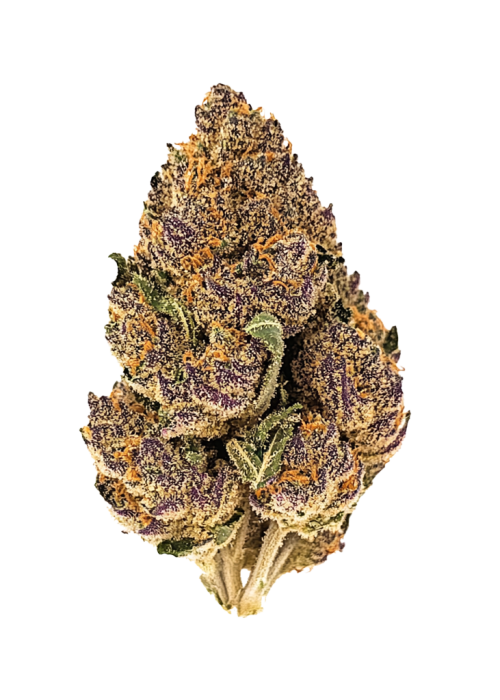 Big Devil XL Auto™