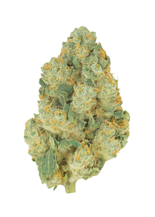 Killer Kush Auto™