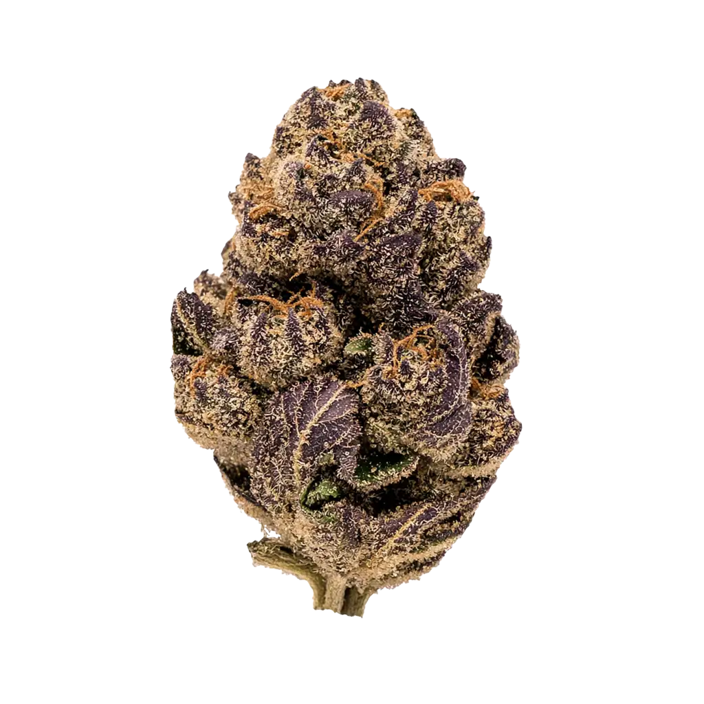 Dark Devil Auto™ Cannabis Strain Harvests - GrowDiaries