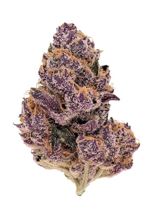 Red Poison Auto™