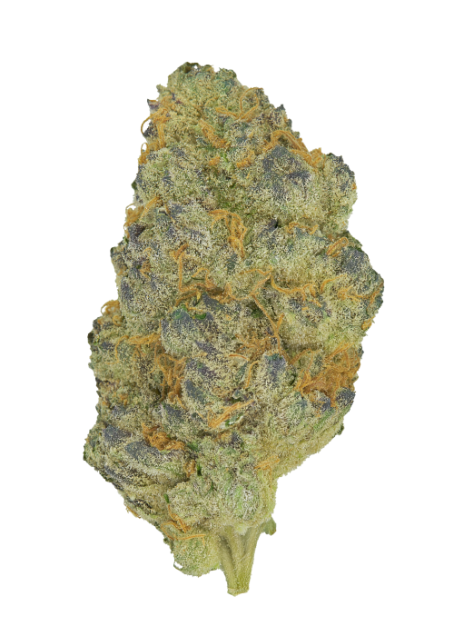 Durban Zkittlez