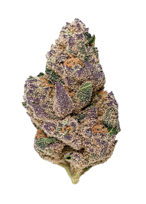 Blueberry Caviar