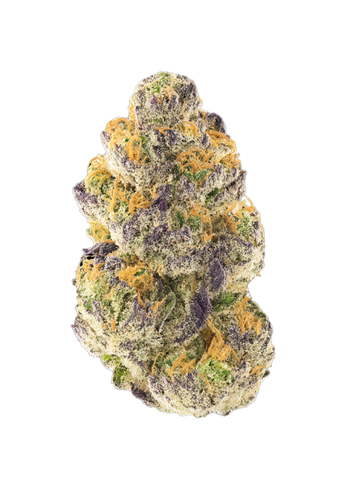 Lemon Cherry Sherb