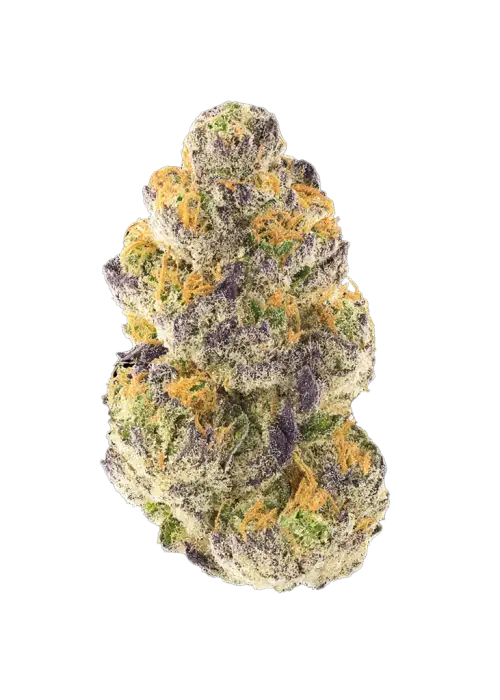Lemon Cherry Sherb