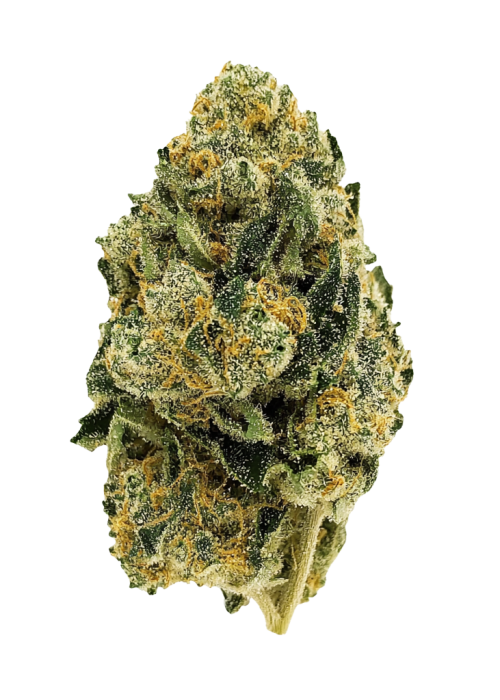 Lemon Zawtz