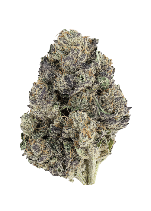 Lemon Cherry Pie R1