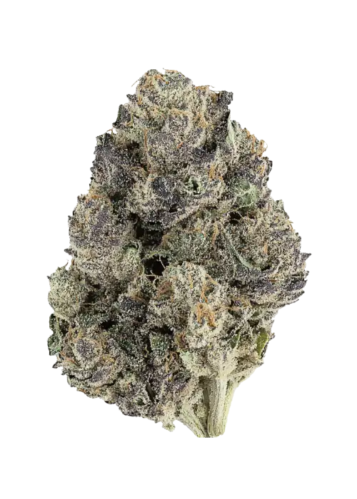 Lemon Cherry Pie R1