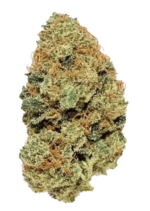 Acapulco Gold