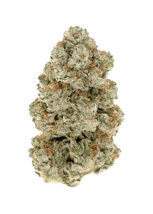 DSC Bomb Pop
