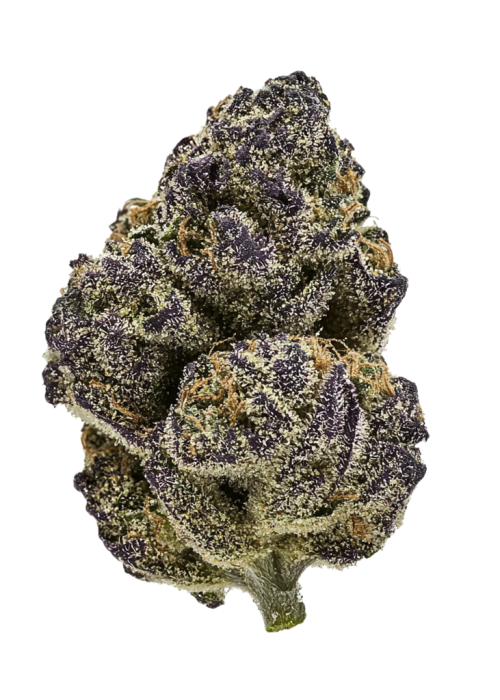DSC Bomb Pop