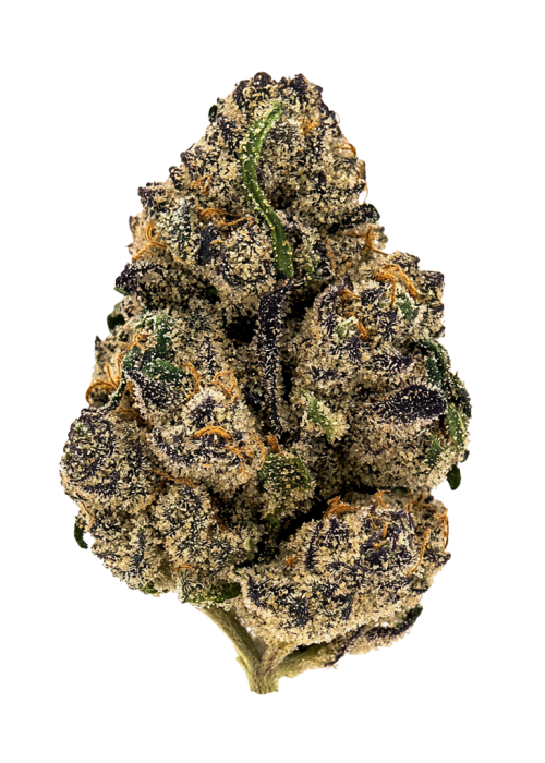 Fruit of the Lumens