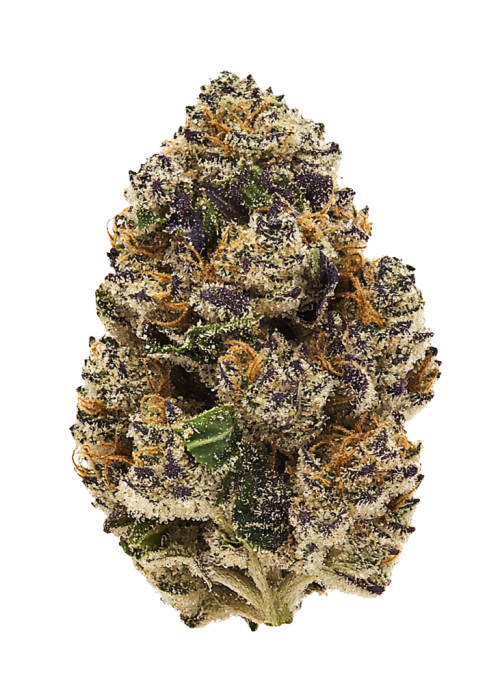 Hood Legend OG