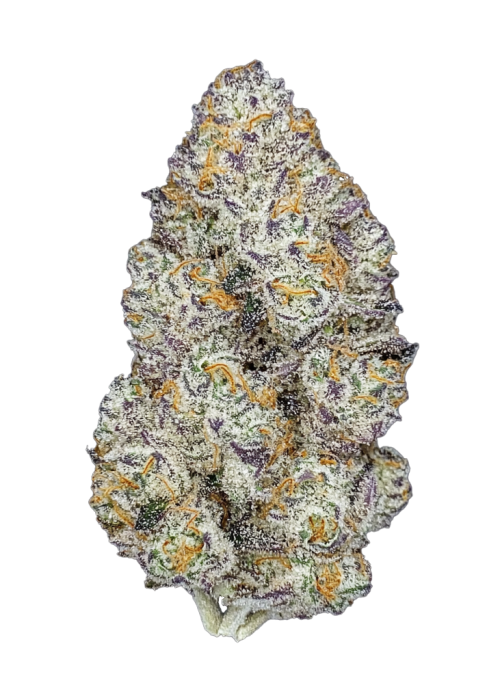 Sherb Cream Pop