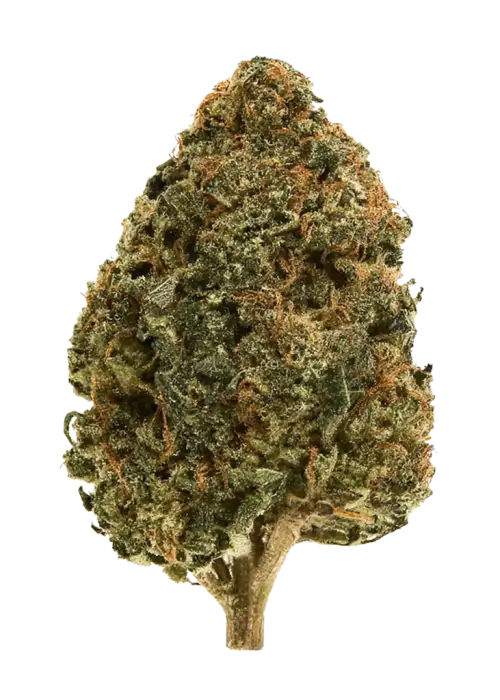 Strawberry Sherbcake