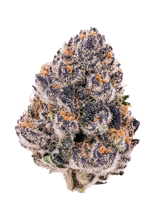 Super Boof x Red Pop