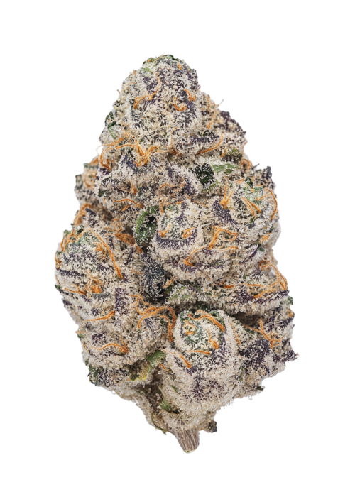 Trich’d Out Truffles