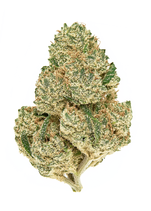 Key Limeade