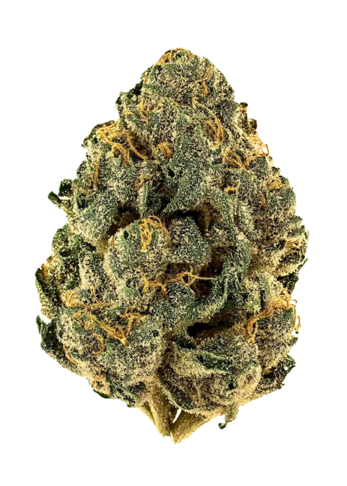 Buttermint Gelato