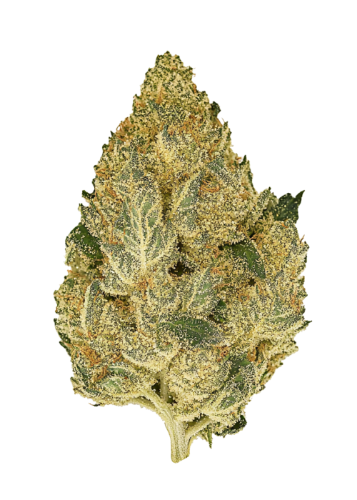 Frosted Froyo