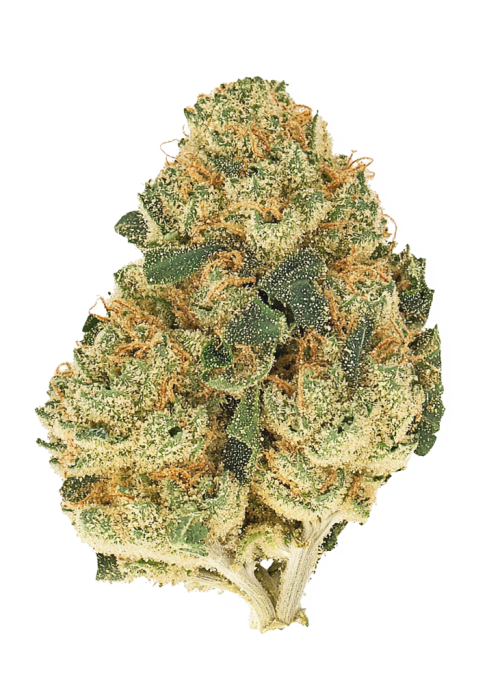 G-63
