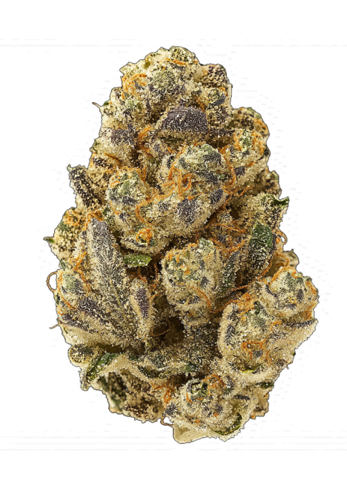 Grape Fizzers