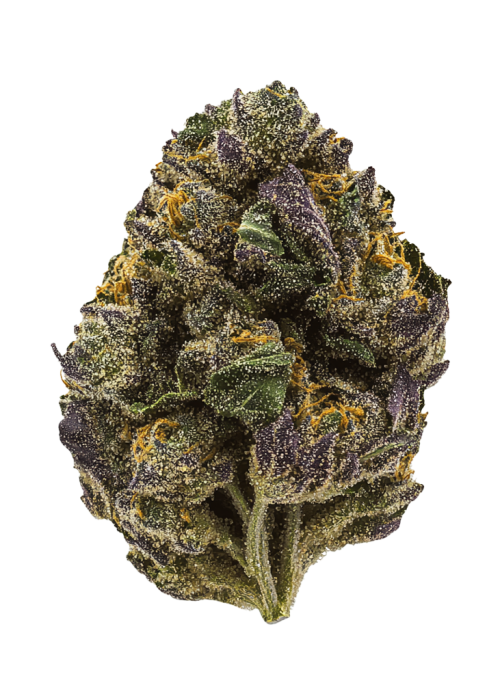 Grape Zoda