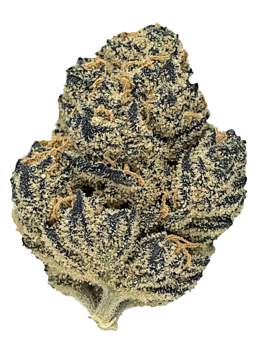Lemon Pepper x Zuchi