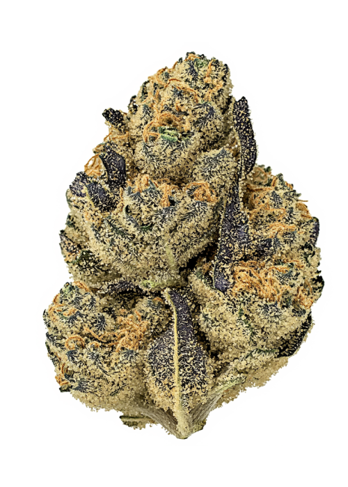 Limedog OG
