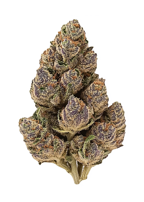 Purple Limeade