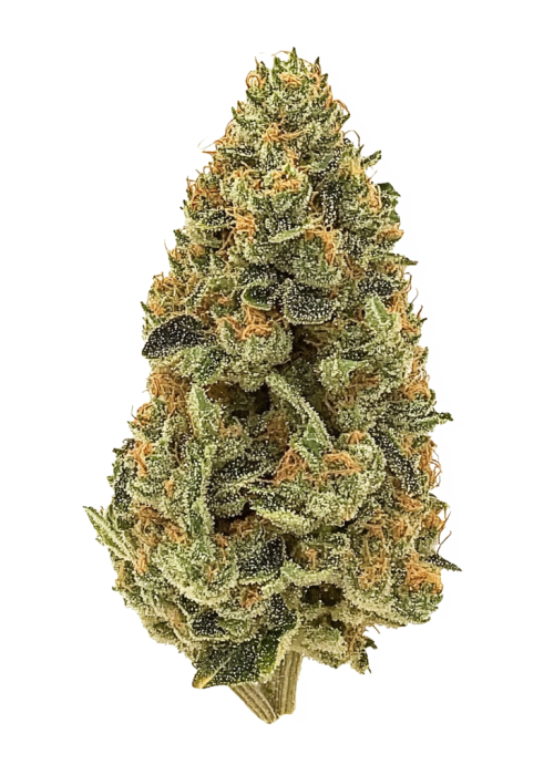 Salted Lime Sherbert