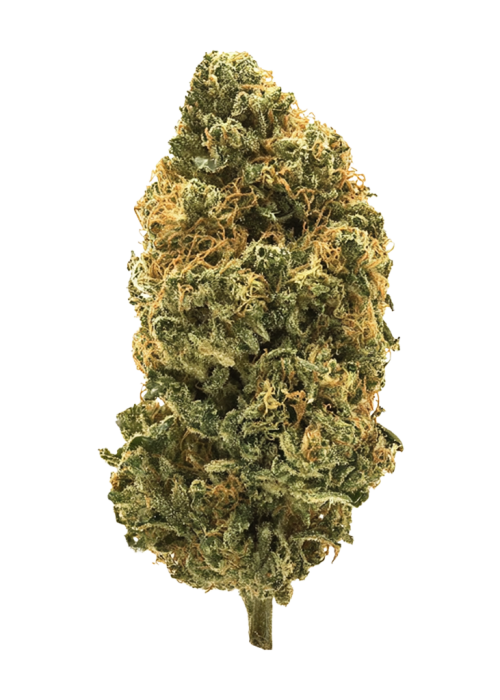 Tahiti Lime