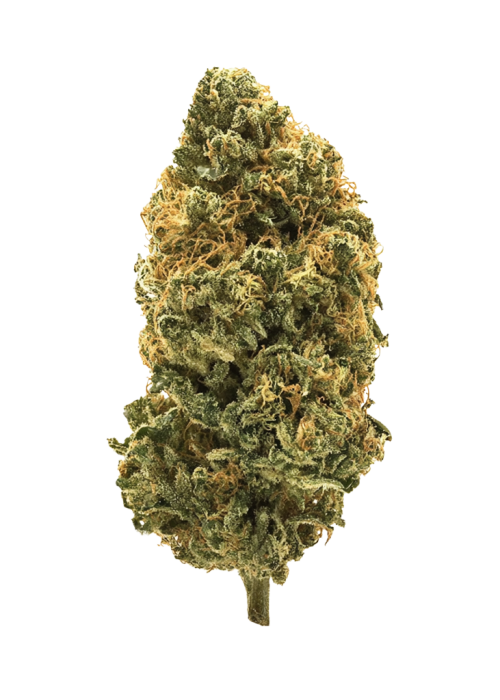 Tahiti Lime