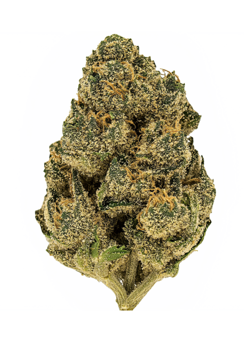 Zeal Cannabis Strain Information - GrowDiaries