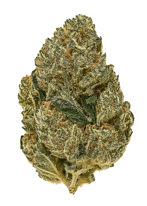 Zello