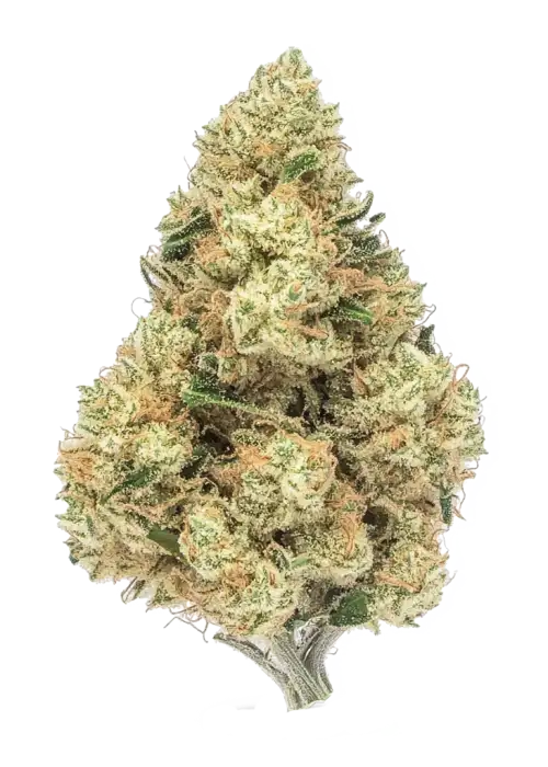 Sour Diesel x Zoda