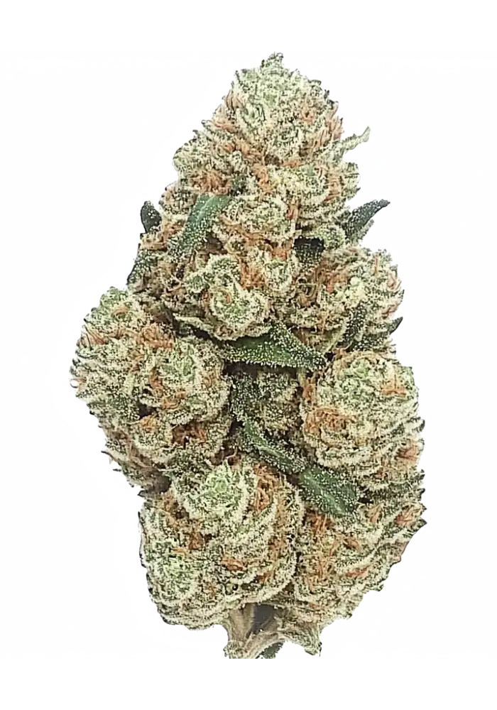 4137-space-runtz-x-zoda_1000.webp