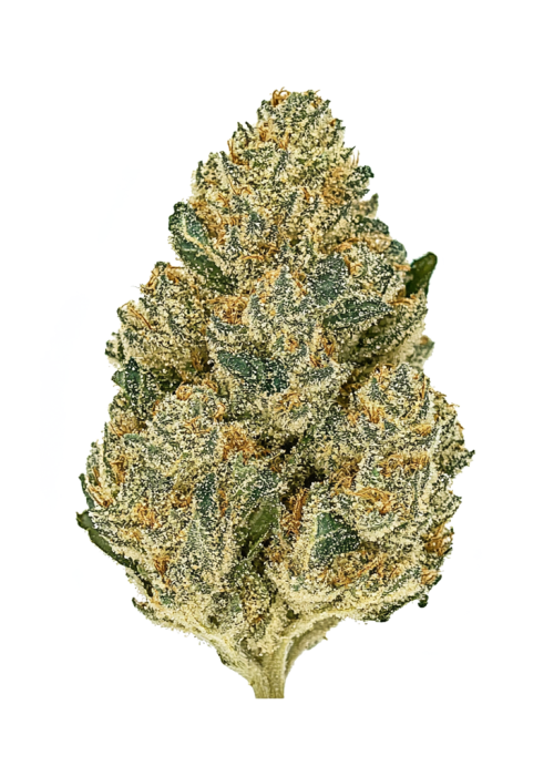 Hayabusa OG