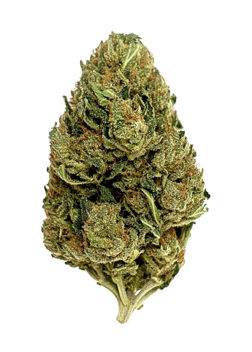 Sticky Queen Auto