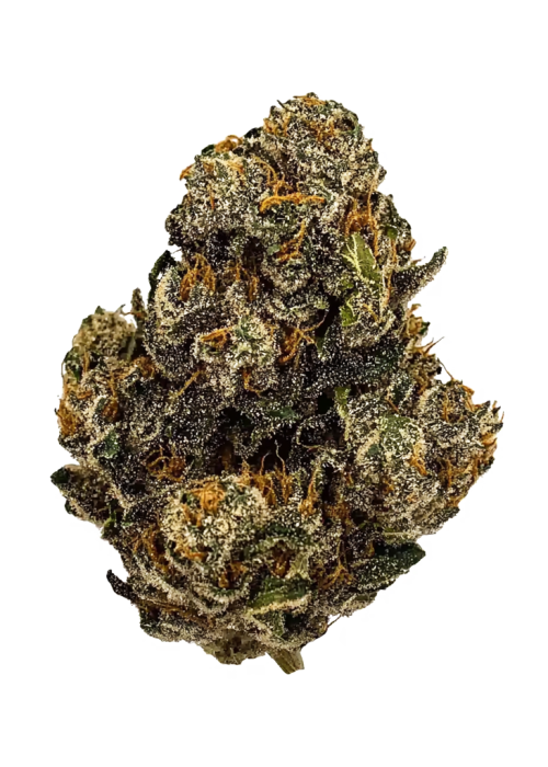 Heady OG BX1