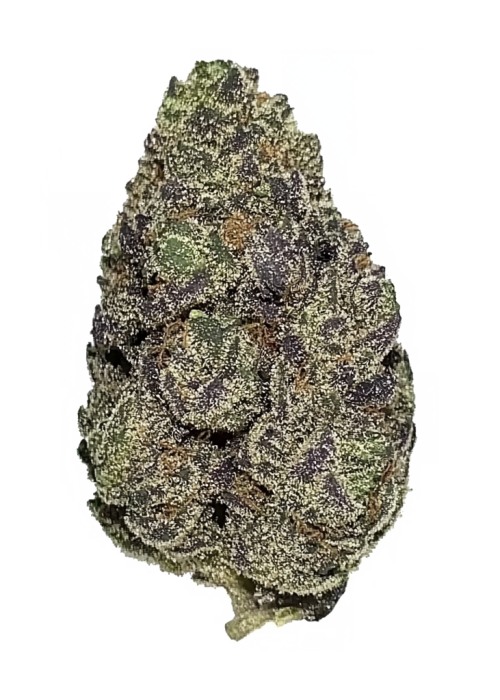 Sticky Queen