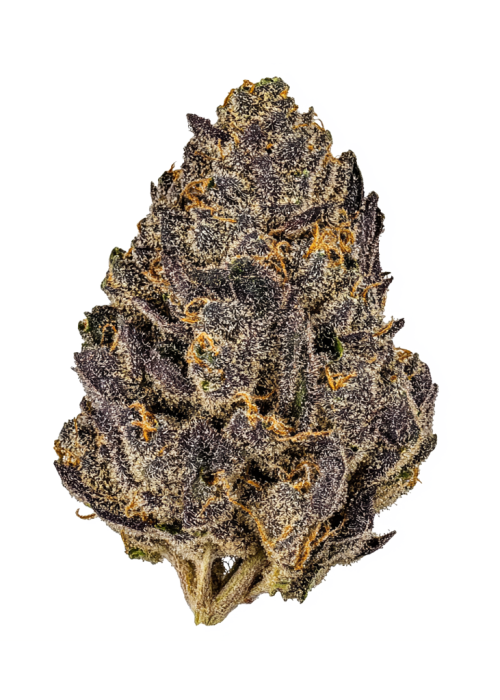 Thin Mint x Sour Pinot Auto