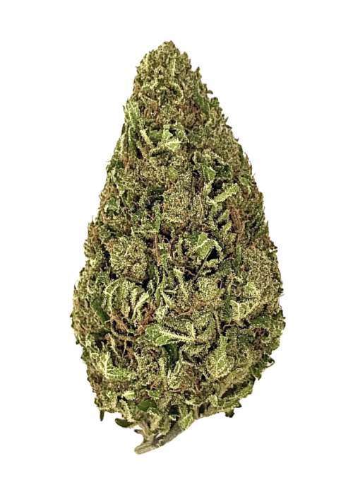 Diablo’s Delight XL Auto
